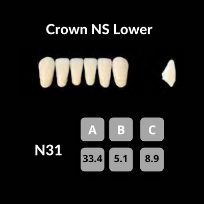 Yamahachi - Crown NS Teeth Shade C3 Crown NS Teeth by Yamahachi- Unique Dental Supply Inc.
