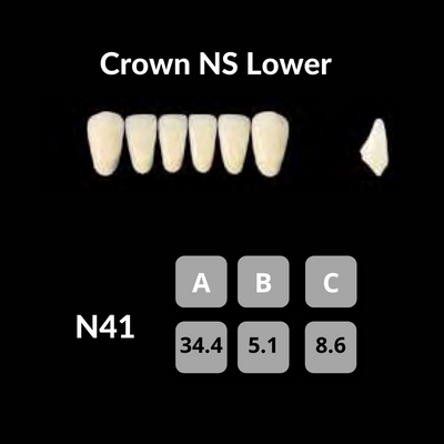 Yamahachi - Crown NS Teeth Shade B1 Crown NS Teeth by Yamahachi- Unique Dental Supply Inc.