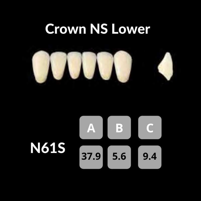 Yamahachi - Crown NS Teeth Shade A4 Crown NS Teeth by Yamahachi- Unique Dental Supply Inc.
