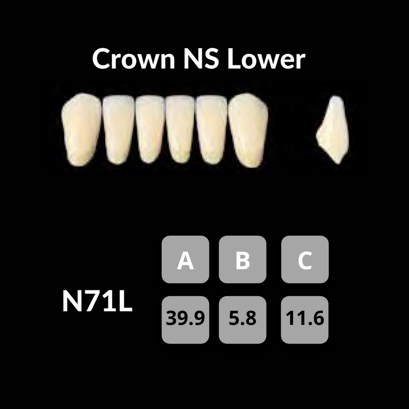 Yamahachi - Crown NS Teeth Shade B1 Crown NS Teeth by Yamahachi- Unique Dental Supply Inc.