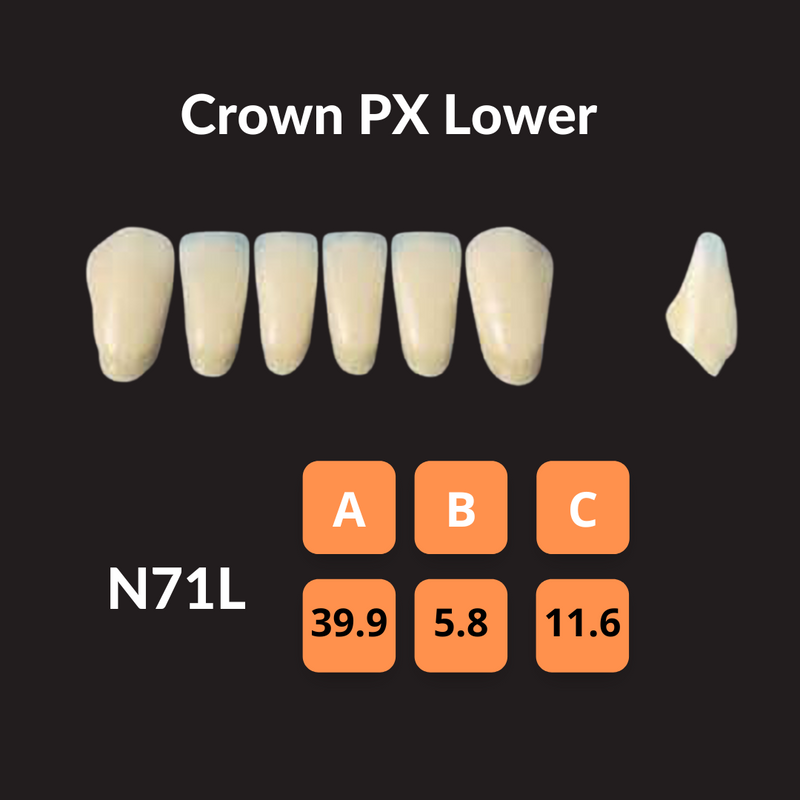 Yamahachi - Crown PX Teeth Shade A4 Crown PX Teeth by Yamahachi- Unique Dental Supply Inc.