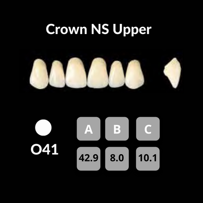 Yamahachi - Crown NS Teeth Shade D4 Crown NS Teeth by Yamahachi- Unique Dental Supply Inc.
