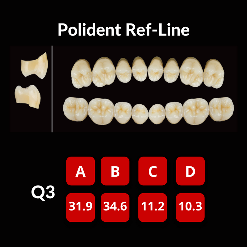 Polident Ref-Line Artificial Teeth Shade A1 Crown NS Teeth by Yamahachi- Unique Dental Supply Inc.