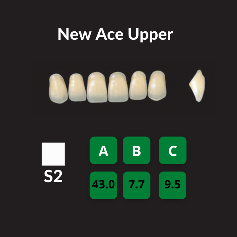 Yamahachi New Ace Teeth Shade D4 Crown New Ace Teeth by Yamahachi- Unique Dental Supply Inc.