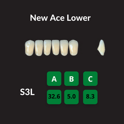 Yamahachi New Ace Teeth Shade C3 Crown New Ace Teeth by Yamahachi- Unique Dental Supply Inc.