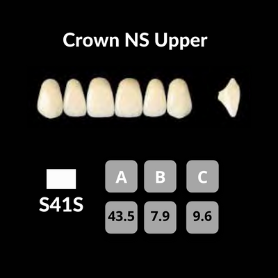 Yamahachi - Crown NS Teeth Shade B4 Crown NS Teeth by Yamahachi- Unique Dental Supply Inc.