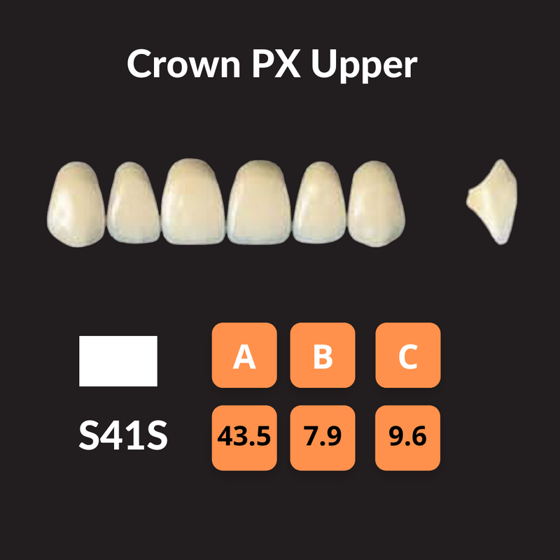 Yamahachi - Crown PX Teeth Shade A1 Crown PX Teeth by Yamahachi- Unique Dental Supply Inc.