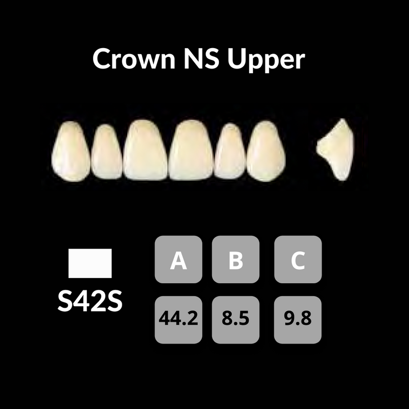 Yamahachi - Crown NS Teeth Shade A3.5 Crown NS Teeth by Yamahachi- Unique Dental Supply Inc.