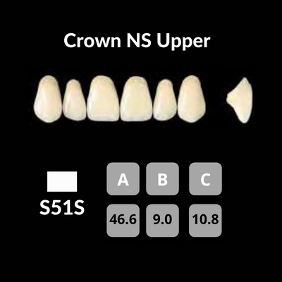 Yamahachi - Crown NS Teeth Shade C1 Crown NS Teeth by Yamahachi- Unique Dental Supply Inc.