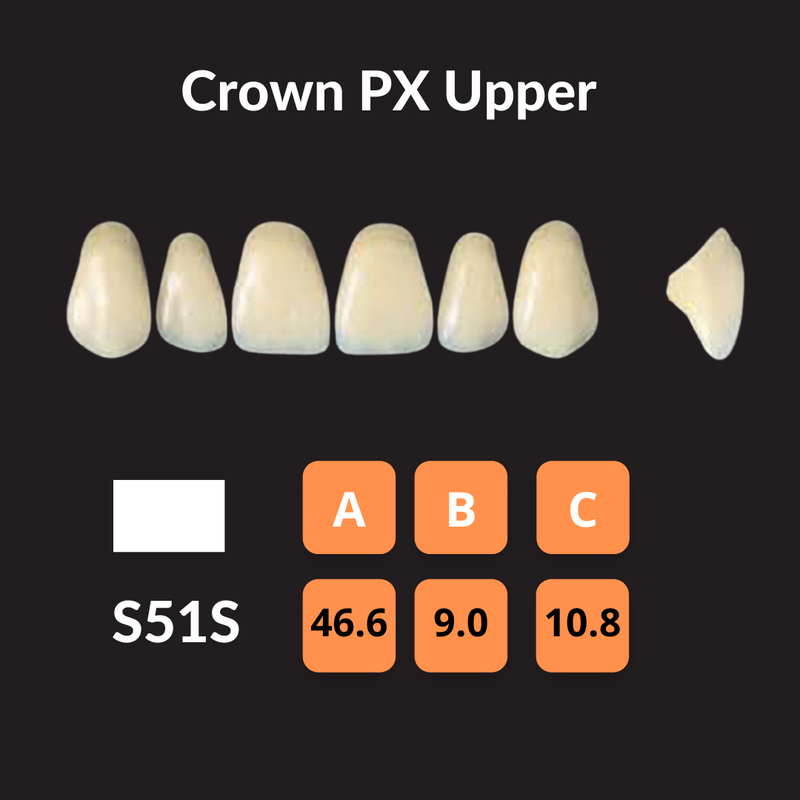 Yamahachi - Crown PX Teeth Shade A3 Crown PX Teeth by Yamahachi- Unique Dental Supply Inc.