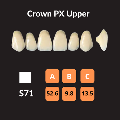 Yamahachi - Crown PX Teeth Shade A3 Crown PX Teeth by Yamahachi- Unique Dental Supply Inc.