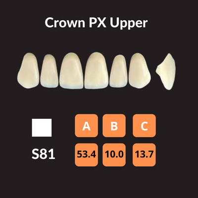 Yamahachi - Crown PX Teeth Shade W0.5 Crown PX Teeth by Yamahachi- Unique Dental Supply Inc.