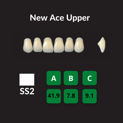 Yamahachi New Ace Teeth Shade B2 Crown New Ace Teeth by Yamahachi- Unique Dental Supply Inc.