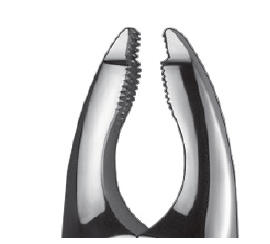 Carl Martin - Extraction forceps - Germany Extracting Forcepts by Carl Martin- Unique Dental Supply Inc.