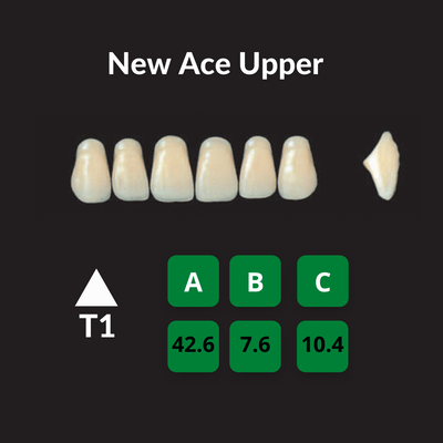 Yamahachi New Ace Teeth Shade D3 Crown New Ace Teeth by Yamahachi- Unique Dental Supply Inc.