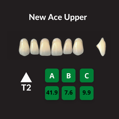 Yamahachi New Ace Teeth Shade A3 Crown New Ace Teeth by Yamahachi- Unique Dental Supply Inc.