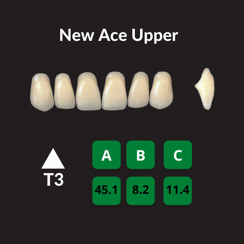 Yamahachi New Ace Teeth Shade B3 – Unique Dental Supply Inc.