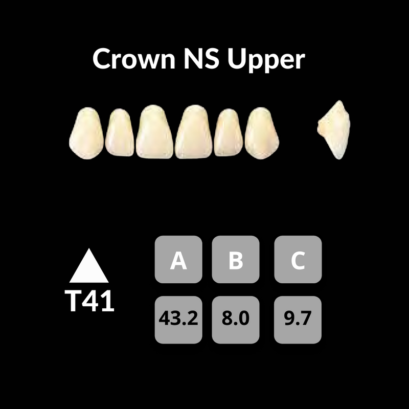 Yamahachi - Crown NS Teeth Shade W0.5 Crown NS Teeth by Yamahachi- Unique Dental Supply Inc.
