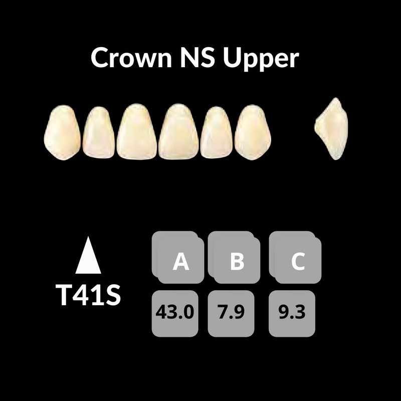 Yamahachi - Crown NS Teeth Shade B3 Crown NS Teeth by Yamahachi- Unique Dental Supply Inc.