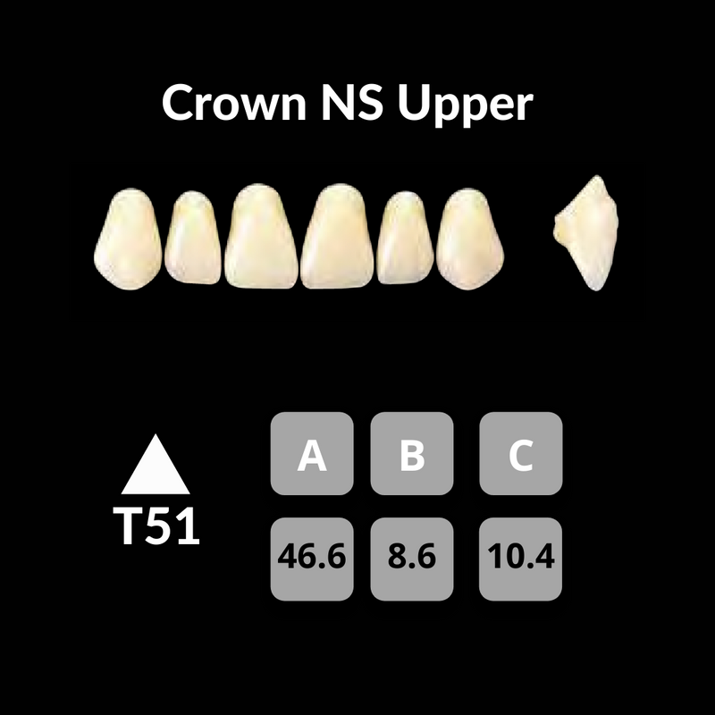 Yamahachi - Crown NS Teeth Shade W0.5 Crown NS Teeth by Yamahachi- Unique Dental Supply Inc.