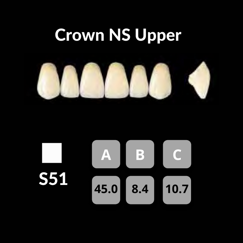 Yamahachi - Crown NS Teeth Shade A4 Crown NS Teeth by Yamahachi- Unique Dental Supply Inc.