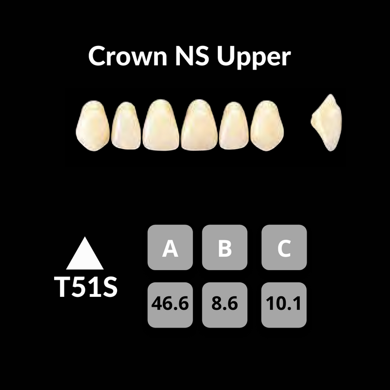 Yamahachi - Crown NS Teeth Shade B3 Crown NS Teeth by Yamahachi- Unique Dental Supply Inc.