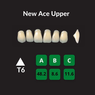 Yamahachi New Ace Teeth Shade B2 Crown New Ace Teeth by Yamahachi- Unique Dental Supply Inc.