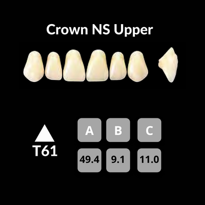 Yamahachi - Crown NS Teeth Shade A3.5 Crown NS Teeth by Yamahachi- Unique Dental Supply Inc.
