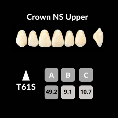 Yamahachi - Crown NS Teeth Shade C2 Crown NS Teeth by Yamahachi- Unique Dental Supply Inc.