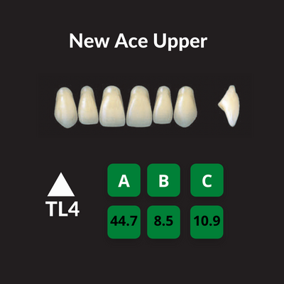 Yamahachi New Ace Teeth Shade D2 Crown New Ace Teeth by Yamahachi- Unique Dental Supply Inc.