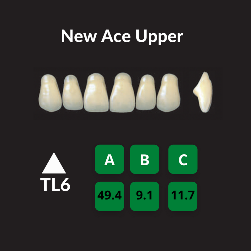 Yamahachi New Ace Teeth Shade C2 Crown New Ace Teeth by Yamahachi- Unique Dental Supply Inc.