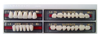 Yamahachi Acrylic Resin Teeth Artificial Acrylic Resin Teeth by Yamahachi- Unique Dental Supply Inc.